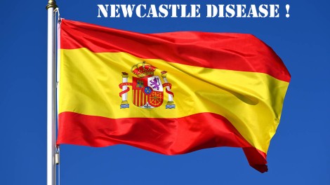 Flagge Spanien