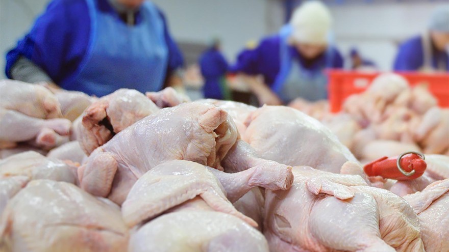 Geflügelfleisch Geflügelfleisch