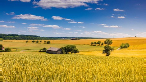 Immobilienkrise