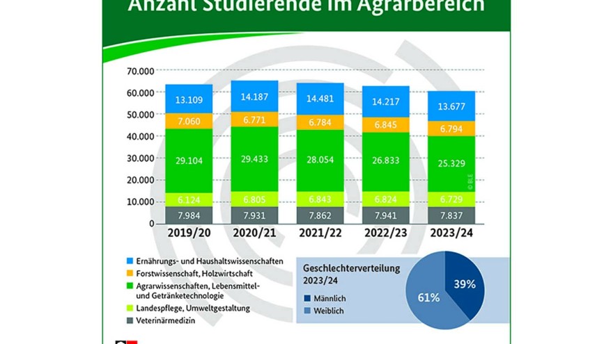 Infografik Studierendenzahlen