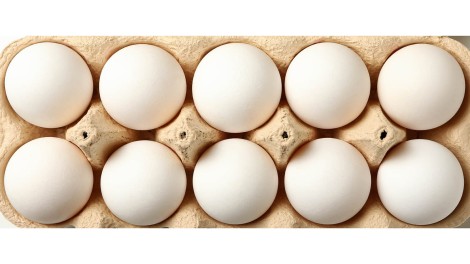 Eier
