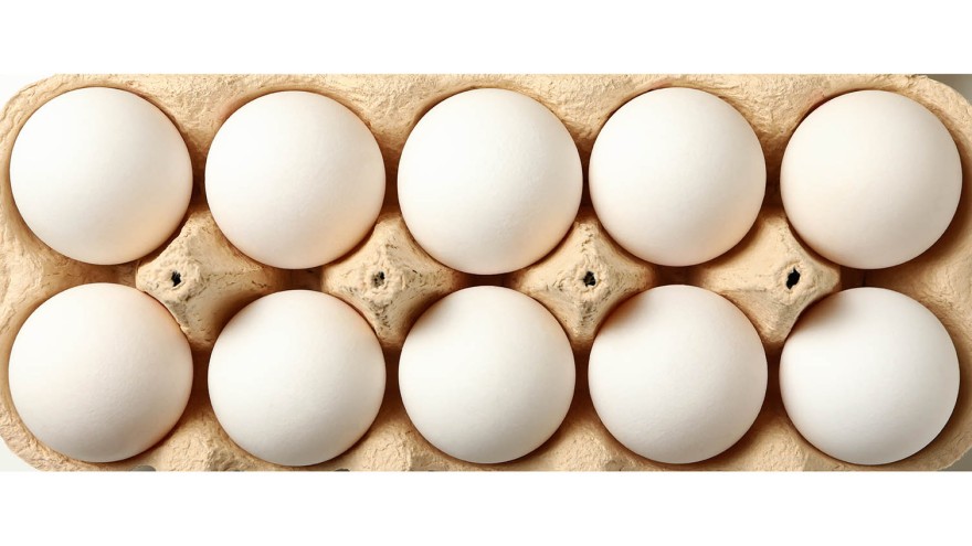 Eier