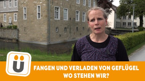 Birgit Spindler