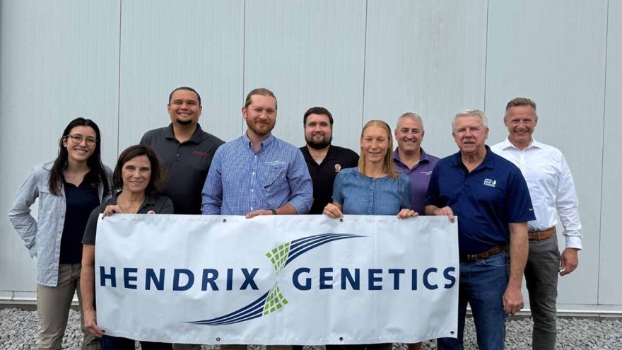 Respeggt, Seleggt, Hendrix Genetics
