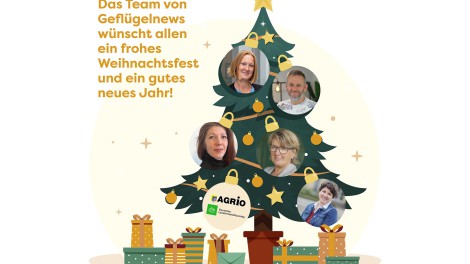 Frohe Weihnachten Wünsche