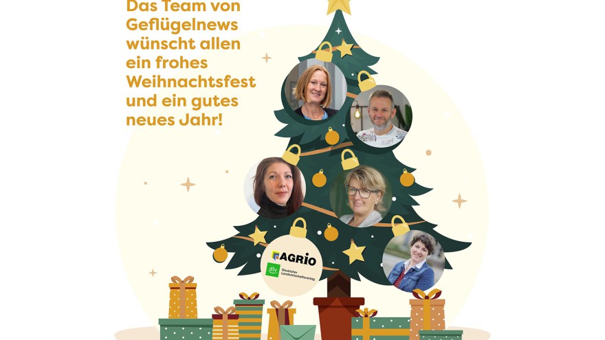Frohe Weihnachten Wünsche