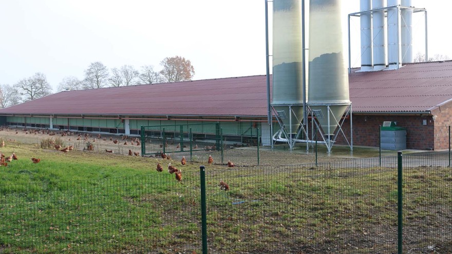 Geflügelpest Hot Spot