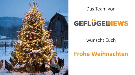 frohe weihnachten