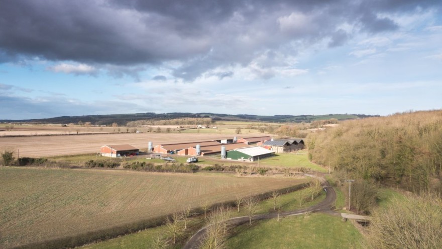 Vogelgrippe Farm UK