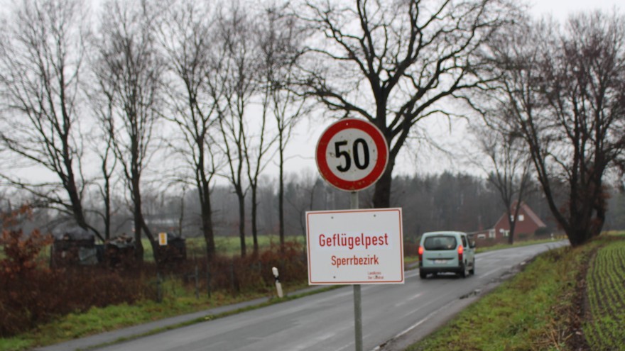 Geflügelpest-Restriktionsgebiet