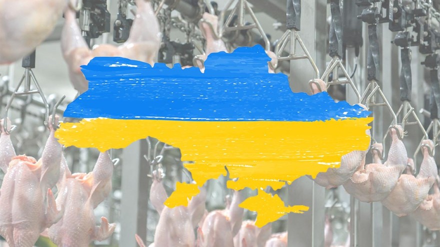 Ukraine Geflügel
