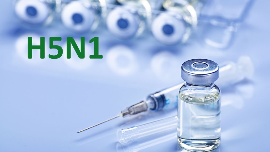 Zoonosen, Tierseuchen, Impfstoff-Forschung, Virus, Geflügelpest