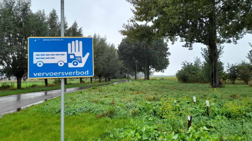 Schild