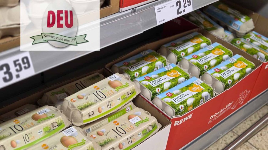 Eier Rewe