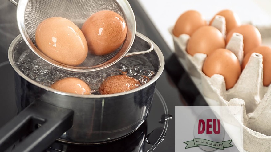 Logo DEU Eier kochen