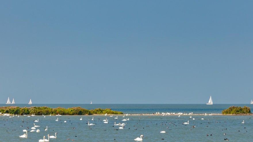 Ijsselmeer
