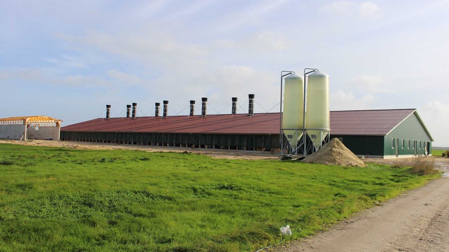 Rentenbank, Bilanz