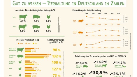 Einsichten Broschüre