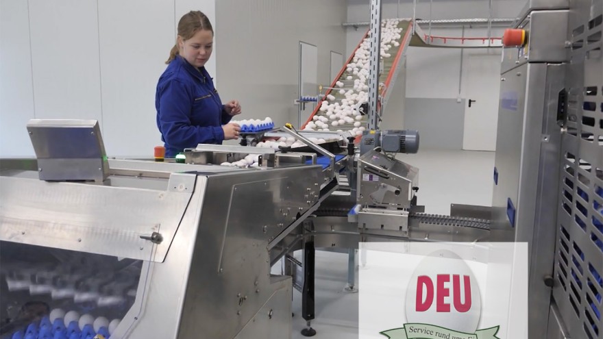 DEU Marktbericht
