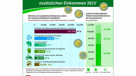 Infografik Einkommensalternativen