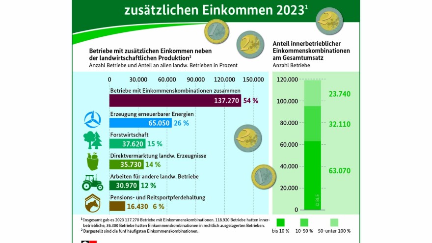 Infografik Einkommensalternativen