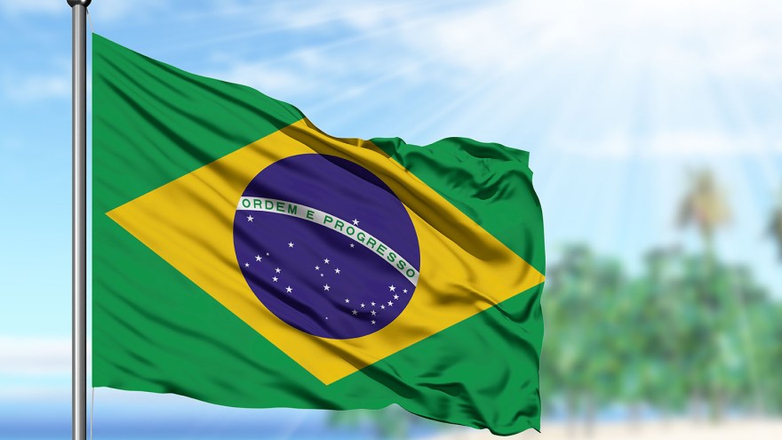 Brasilien Vogelgrippe Exportstopp