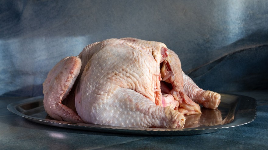 Suppenhuhn