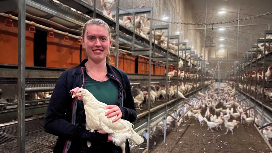Jana Brügging