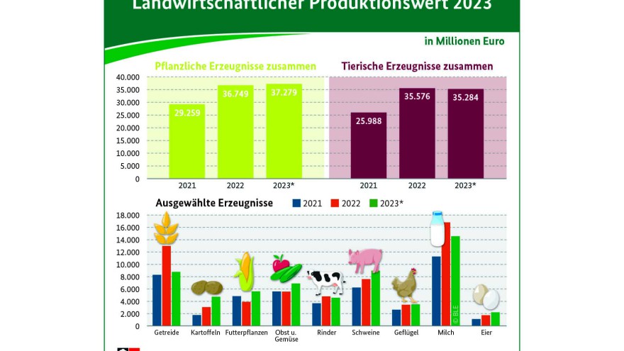 Infografik