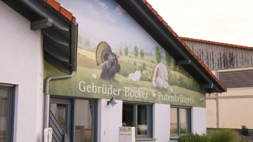 Putenbrüterei Böcker