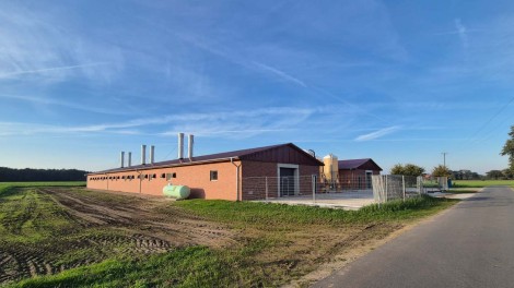 Hofstelle