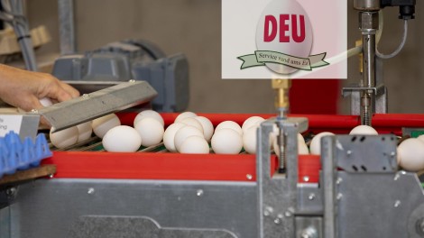 DEU Marktbericht