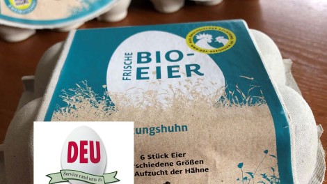 Bioeier