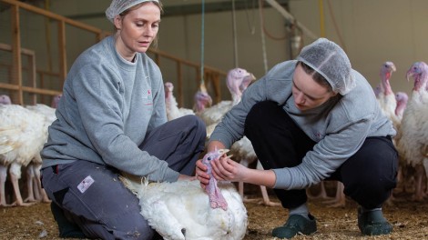 Zwei Frauen und eine Pute
