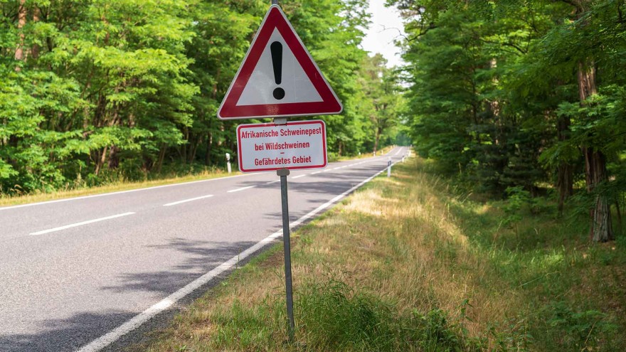 Tierseuchen, Schweinepest