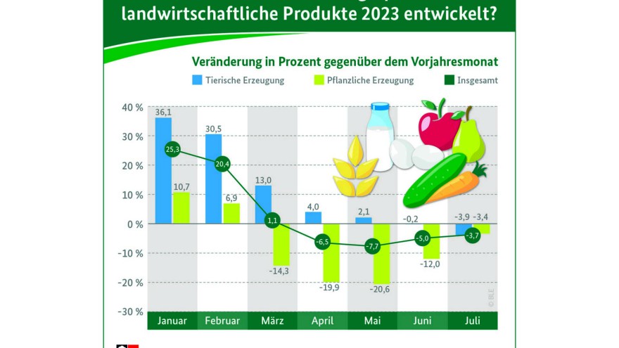 Infografik Erzeugnisse