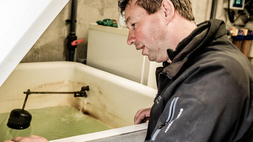 Mann schaut in einen Wasserbottich