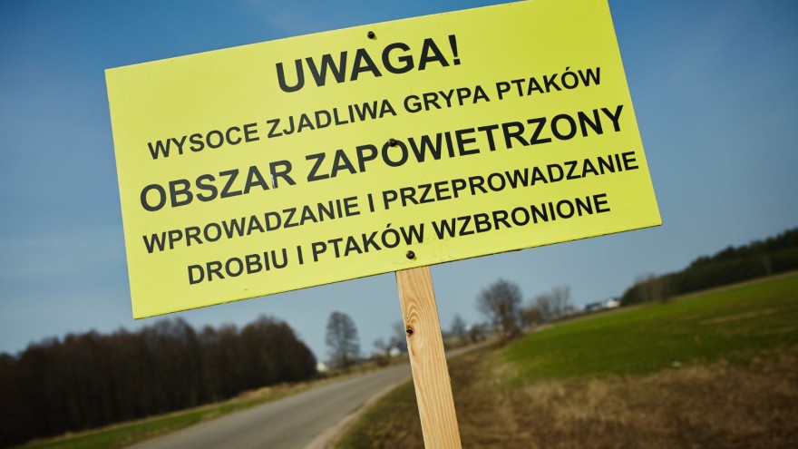 Vogelgrippe Schild Polen