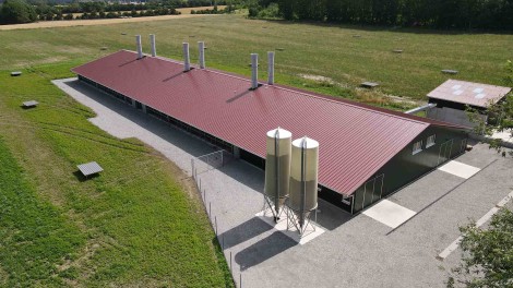 Stallneubau Legehennen