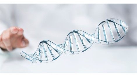 DNA Helix