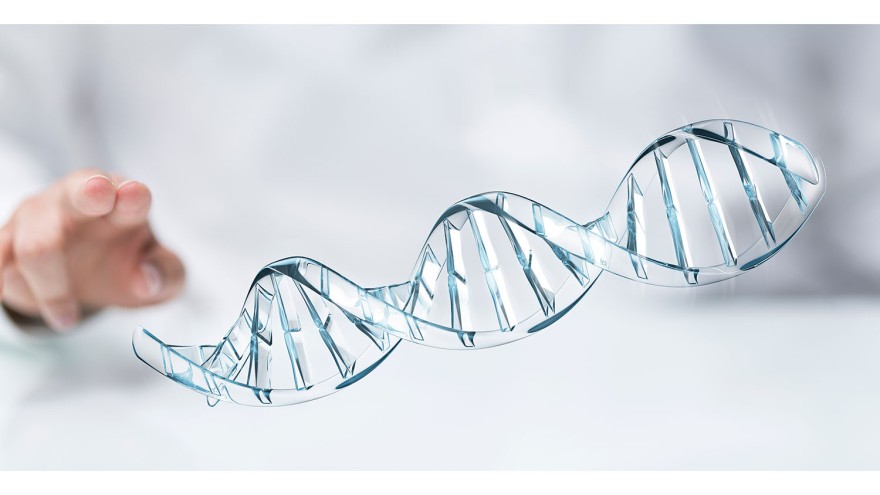 DNA Helix