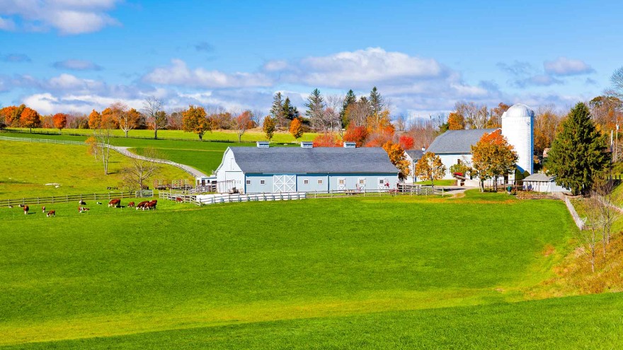 USA Milchviehfarm