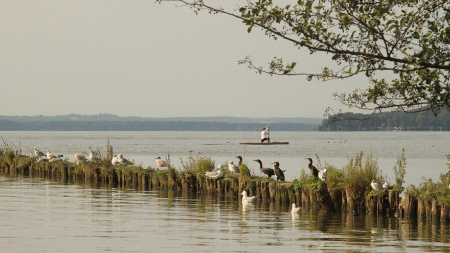 Mecklenburgische Seenplatte