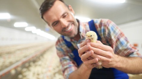 Mann mit Huhn