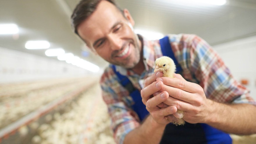 Mann mit Huhn