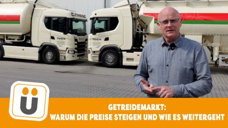 Martin Koch Tiba