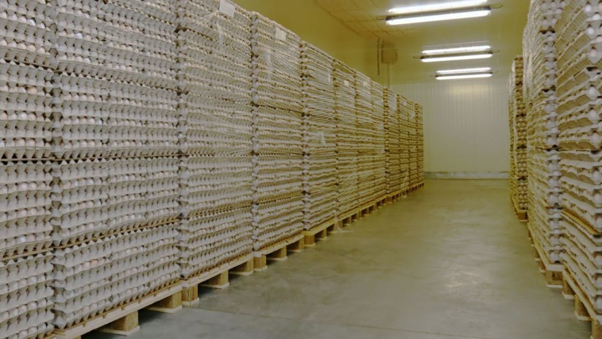 Eier verpackt