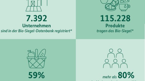 Infografik