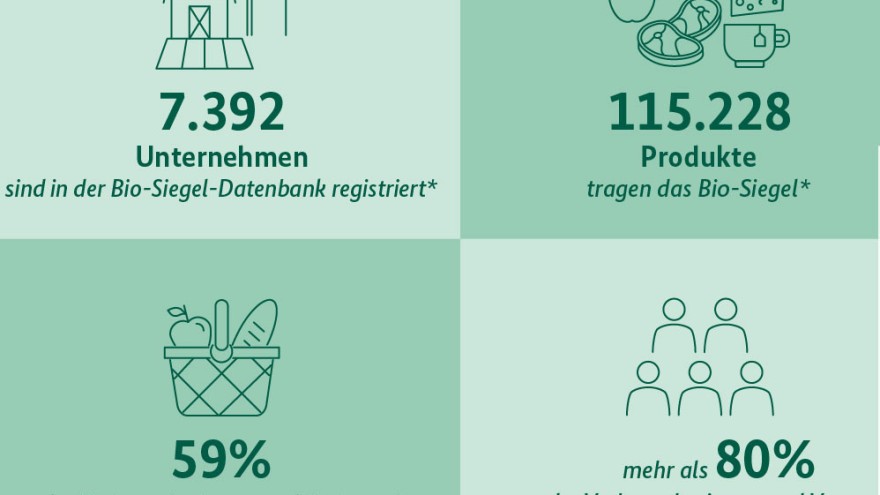 Infografik