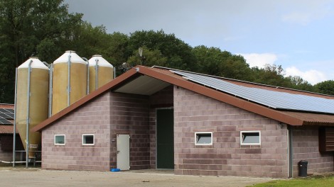Hähnchenstall